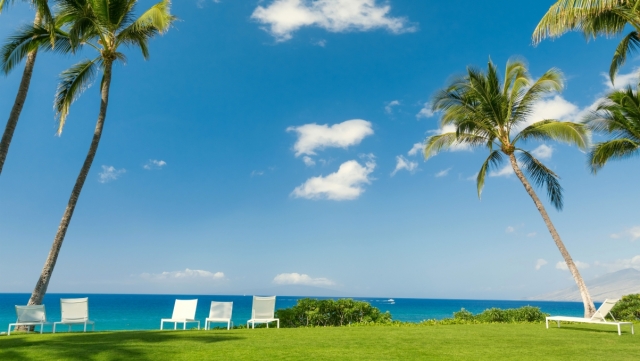 K1集团：室内健身器材羽毛