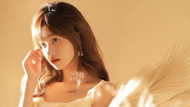 K1公司：专业乒乓球台如何选