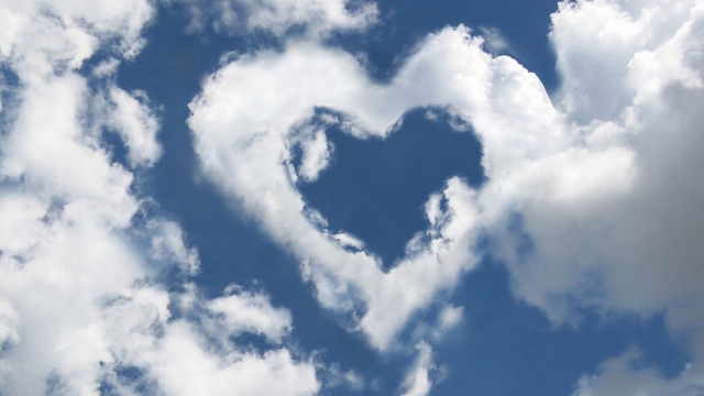 K1公司：天津家用健身器材经营部